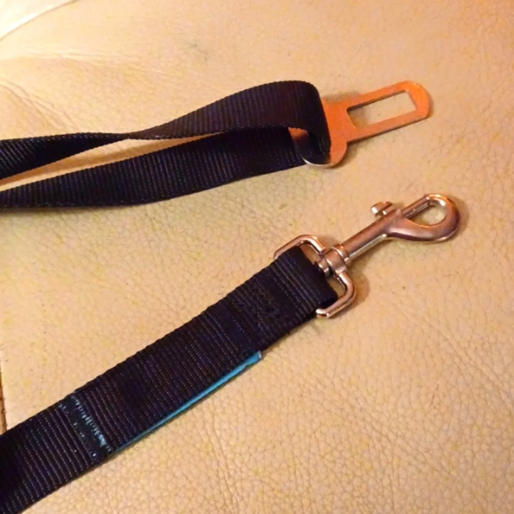 Duke Dixie Dog Seatbelt